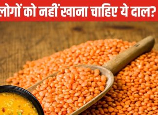 किन लोगों को नहीं खाना चाहिए मसूर की दाल? 5 बीमारियों का बढ़ता है जोखिम, डॉक्टर से समझें सही बात