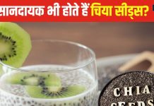 क्या चिया सीड्स के नुकसान भी होते हैं? किन लोगों को नहीं करना चाहिए सेवन, एक्सपर्ट से जानें इसके साइड इफेक्ट