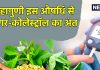 जिसे आप समझते हैं मामूली पत्ता, वह शुगर और कोलेस्ट्रॉल को झटके में कर सकता है सफाया, मेडिकल साइंस ने भी माना लोहा