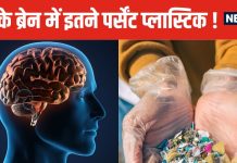 आपके ब्रेन में जमा हो रही प्लास्टिक ! लिवर और किडनी से कई गुना ज्यादा टुकड़े, नई स्टडी में बड़ा खुलासा
