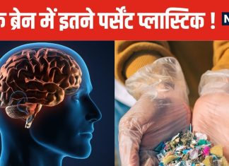 आपके ब्रेन में जमा हो रही प्लास्टिक ! लिवर और किडनी से कई गुना ज्यादा टुकड़े, नई स्टडी में बड़ा खुलासा