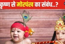 Krishna Janmashtami: भगवान कृष्ण ने सिर पर क्यों धारण किया मोरपंख? कोई दोष या राधा से प्रेम का प्रतीक, यहां समझें
