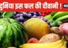 दुनिया में सबसे ज्यादा खाया जाता है यह लंबा फल, बच्चों से लेकर बुजुर्गों की पहली पसंद, फायदे बेशुमार