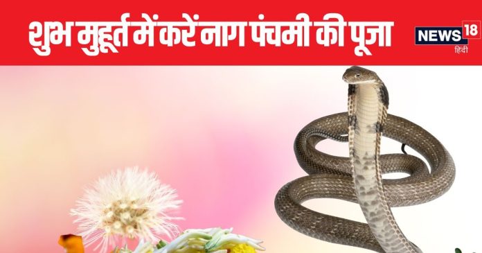nag-panchami-2024-08-3ee5f046673b48dda0b8f07431633122-16x9.jpg
