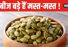 इस सब्जी को तो छोड़िए, इसके बीज ही बजा देंगे कई बीमारियों का बाजा ! जरा सी चीज कर देगी कमाल