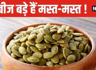 इस सब्जी को तो छोड़िए, इसके बीज ही बजा देंगे कई बीमारियों का बाजा ! जरा सी चीज कर देगी कमाल