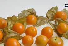 बाजार में बस 2 महीने मिलता है ये फल, शुगर और कैंसर के लिए बेस्ट, चेहरे पर लाता है ग्लो