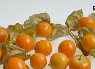 बाजार में बस 2 महीने मिलता है ये फल, शुगर और कैंसर के लिए बेस्ट, चेहरे पर लाता है ग्लो