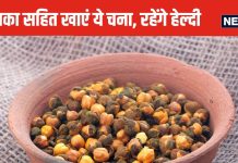 बिना छिलका हटाए खाएं भुना चना, प्रोटीन फाइबर का है पावरहाउस, मांसपेशियों को देगा जबरदस्त ताकत, शरीर में दौड़ेगी गजब की एनर्जी