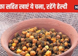 बिना छिलका हटाए खाएं भुना चना, प्रोटीन फाइबर का है पावरहाउस, मांसपेशियों को देगा जबरदस्त ताकत, शरीर में दौड़ेगी गजब की एनर्जी