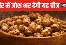 घोड़े जैसी ताकत के लिए खाना शुरू करें ये देसी चीज ! 10 दिन भी कर लिया सेवन, तो उछलने लगेंगे आप