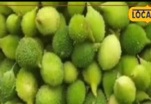 सिर्फ 90 दिन मिलती है ये सब्जी, कई बीमारियों के लिए रामबाण, जानिए इसके फायदे