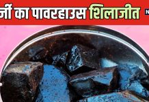 दूध से या शहद से… शिलाजीत लेने का सही तरीका क्या है? एंटी-ऐजिंग का है पॉवरहाउस, जानें इसके जबरदस्त फायदे