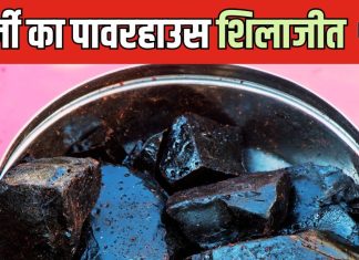 दूध से या शहद से… शिलाजीत लेने का सही तरीका क्या है? एंटी-ऐजिंग का है पॉवरहाउस, जानें इसके जबरदस्त फायदे