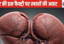 लिवर खराब होने पर एक नहीं कई साइलेंट संकेतों से शरीर होने लगता है खोखला, समझदारी दिखाएं, लक्षण पहचान इलाज कराएं