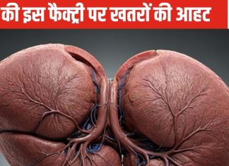 लिवर खराब होने पर एक नहीं कई साइलेंट संकेतों से शरीर होने लगता है खोखला, समझदारी दिखाएं, लक्षण पहचान इलाज कराएं