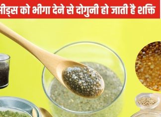 7 सीड्स को पानी में भिगा दीजिए, कई गुना बढ़ जाएगा पावर, घंटों में दिखेगा असर