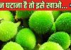 सावन में बस 90 दिन मिलती है ये सब्जी, मीट से भी ज्यादा ताकतवर, ऐसे बनाएंगे तो खानेवाले कटोरी भी चाट जाएंगे