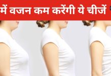 रात का ये खाना बना देगा स्लिम! भूख भी मिटेगी और परफेक्ट होगा फिगर भी… यहां जानें डाइट प्लान