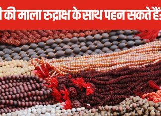 एक साथ पहन रखी है तुलसी और रुद्राक्ष की माला? किस तरह करती हैं जीवन को प्रभावित? जानें इससे होने वाले लाभ