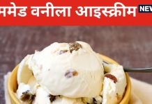 घर में झटपट बनाएं वनीला फ्लेवर आइस्क्रीम, बस चाहिए 5 चीज, बाहर के खाने की नहीं डिमांड करेंगे बच्चे