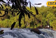 तीन चट्टानें करती हैं इस झरने की रखवाली, केरल के वट्टाथाई से देखें सूर्यास्त का अद्भुत नजारा