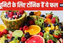 इन 5 फ्रूट्स में सबसे ज्यादा विटामिन C, डेली डाइट में करें शामिल, इम्यूनिटी बनेगी चट्टान सी मजबूत !