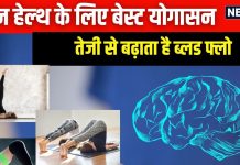 ब्रेन को हेल्दी रखने के लिए परफेक्ट हैं ये 3 योगासन, बढ़ाएंगे दिमाग में खून का बहाव, मूड और याददाश्त दोनों होंगे बेहतर