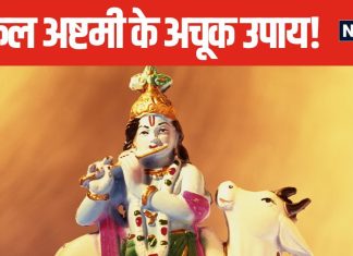 आज मनाई जा रही गोकुलाष्टमी, गौ माता को जरूर खिलाएं ये 4 चीजें, सौभाग्य में होगी बढ़ोतरी!