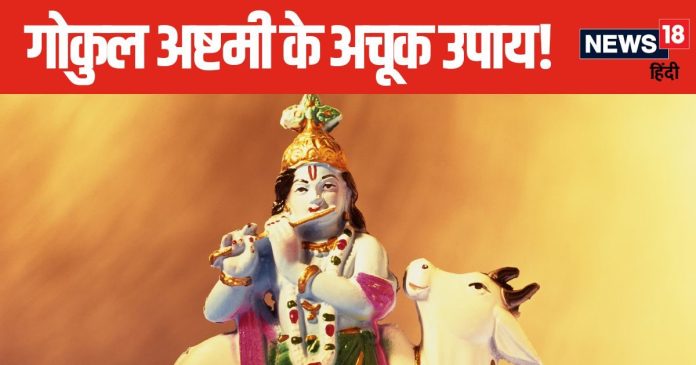 आज मनाई जा रही गोकुलाष्टमी, गौ माता को जरूर खिलाएं
