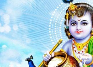 इस कृष्ण जन्माष्टमी पर घर ले आएं ये 4 चीजें, खुल जाएंगे आपके सोई किस्मत के द्वार