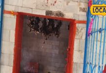 काफी प्राचीन है भोलेनाथ का यह मंदिर, यहां 40 दिन शिव चालीसा करने से हर मन्नत होती है पूरी!