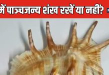 क्या है पाञ्चजन्य शंख? क्यों है ये इतना महत्वपूर्ण? इसे घर में रखाना चाहिए या नहीं? जानें वास्तु के नियम