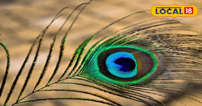 जन्माष्टमी के पहले घर लाएं ये वस्तुएं, घर में आएगी