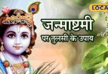 जन्माष्टमी पर करें तुलसी से जुड़े उपाय, प्रसन्न होकर लक्ष्मी-नारायण भर देंगे झोली, उज्जैन के पंडितजी से जानें