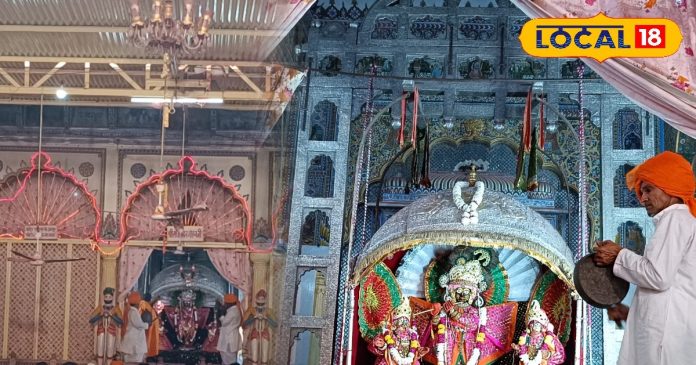 जन्माष्टमी व्रत पर भूल से भी न करें ये गलती,