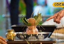 पितृ पक्ष: नहीं मिल रहें कौए तो इन जानवरों को खिला सकते है अन्न