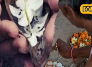 पितृ पक्ष में जरूरी है ये सामान, इसके बिना अधूरा रहेगा श्राद्ध कर्म, हरिद्वार के ज्योतिषी से जानें नियम-This item is necessary in Pitru Paksha, without this item the Shraddha ritual will remain incomplete