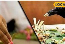 पितृ पक्ष से पहले घर में दिखें ये 5 लक्षण, तो हो जाएं सावधान! मंडरा रहा इस दोष का छाया