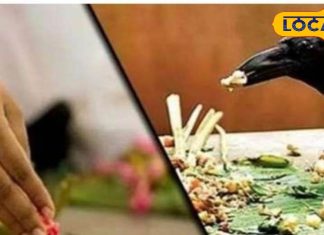 पितृ पक्ष से पहले घर में दिखें ये 5 लक्षण, तो हो जाएं सावधान! मंडरा रहा इस दोष का छाया