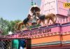 बहुत चमत्कारी है ये मंदिर, हर भक्त की फरियाद होती है पूरी, चढ़ाएं ये चीज!