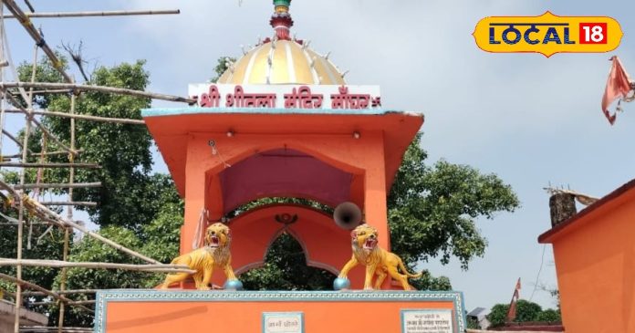 बिहार में यहां करें शीतला माता के दर्शन, पूजा से