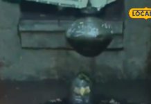 बेलेश्वर मंदिर का अनोखा है इतिहास, यहां दर्शन करने मात्र से पूरी होती है मनोकामना