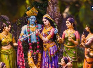 भगवान कृष्ण को पसंद हैं ये 5 रंग, इस जन्माष्टमी पर पहनें उनका फेवरेट कलर, मन रहेगा खुश