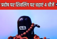 भाद्रपद के पहले प्रदोष पर मिलेगा महादेव का आशीर्वाद, शिवलिंग पर चढ़ाएं भगवान कृष्ण की प्रिय 4 वस्तुएं, चमकेगा भाग्य!