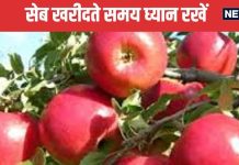 सेब खरीदते समय कहीं आप भी यह गलती तो नहीं कर रहे! यहां जानें और इन बातों का रखें ध्यान