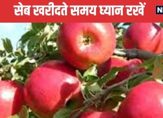 सेब खरीदते समय कहीं आप भी यह गलती तो नहीं कर रहे! यहां जानें और इन बातों का रखें ध्यान