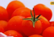 फ्रिज में भूल से भी न रखें ये 5 सब्जियां, स्वाद और पोषण को बचाने के लिए अपनाएं सही स्टोरेज टिप्स