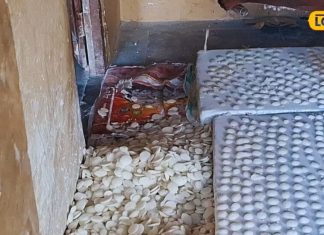 चीनी से बनी ये अनोखी मिठाई जीत रही सभी का दिल, स्वाद के साथ सेहत का भी खजाना