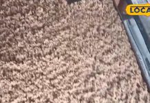 आप ने कभी खाई है ये मिठाई, टेस्ट के दीवाने लोग; 40 साल से बना रहा ये परिवार